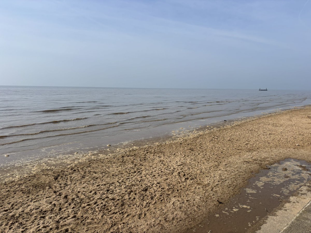 Bentley 🩵 tweet media