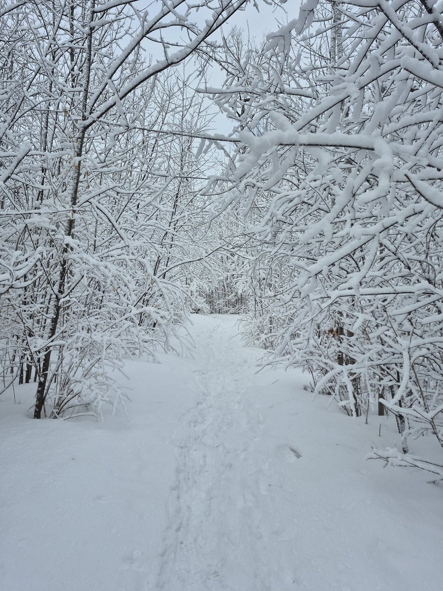 Karyn Curtis🇨🇦🐎 tweet media
