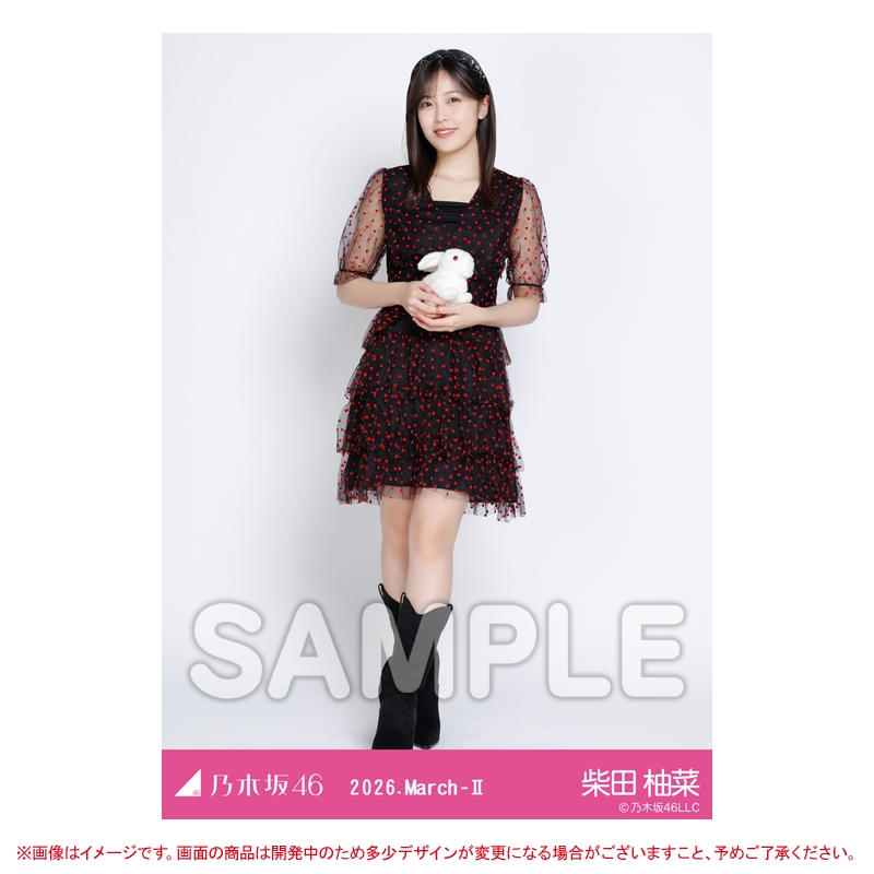 【匿名配送】ビリヤニ 乃木坂46 コンプ 生写真 アリスコーデ 賀喜遥香