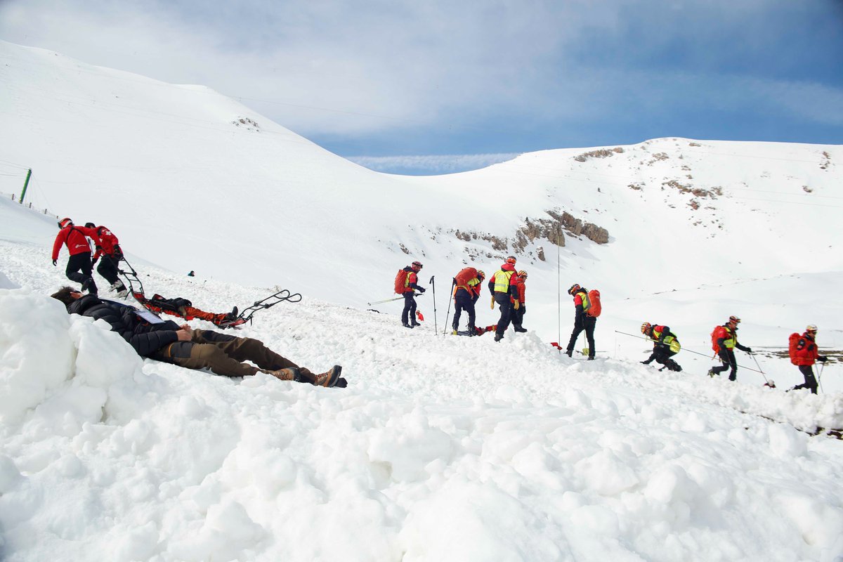 laneualdia tweet media