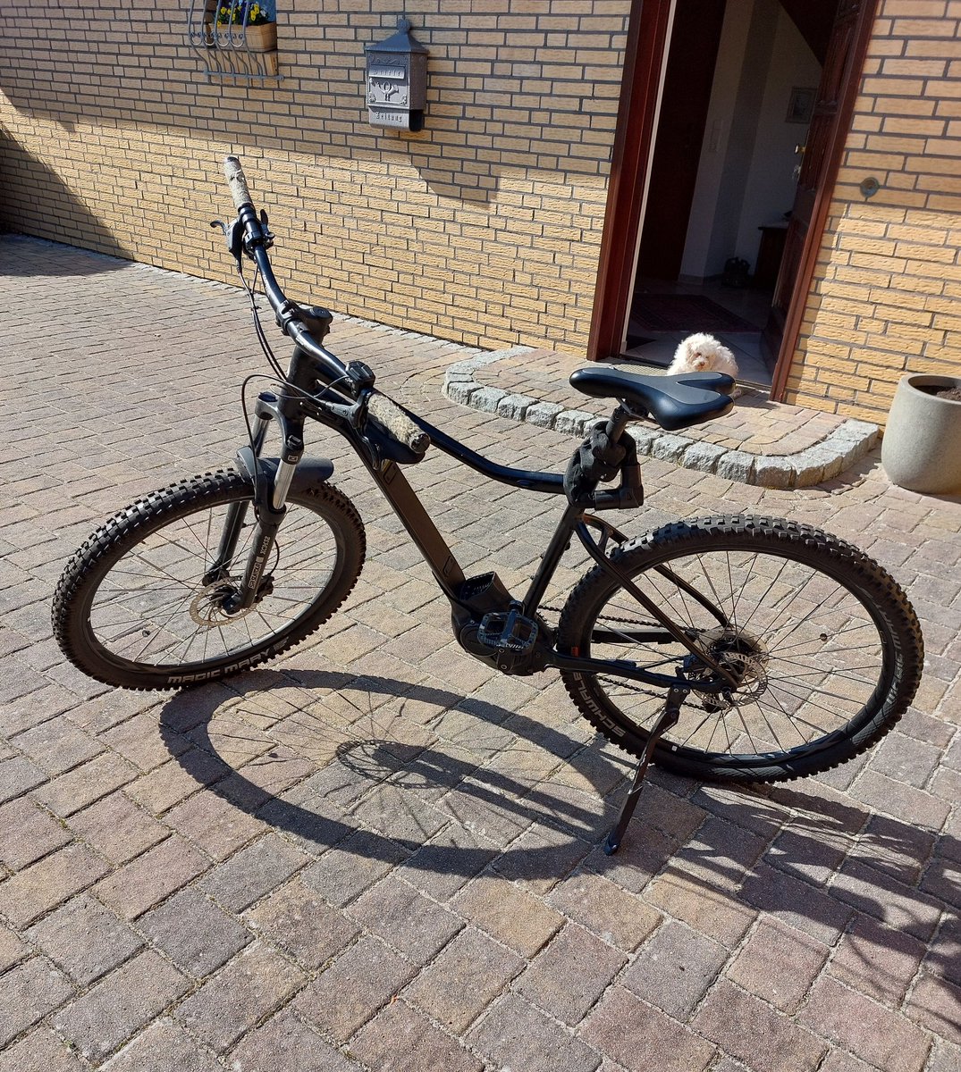 Sidney W🇩🇪🇺🇦🇪🇺 tweet media