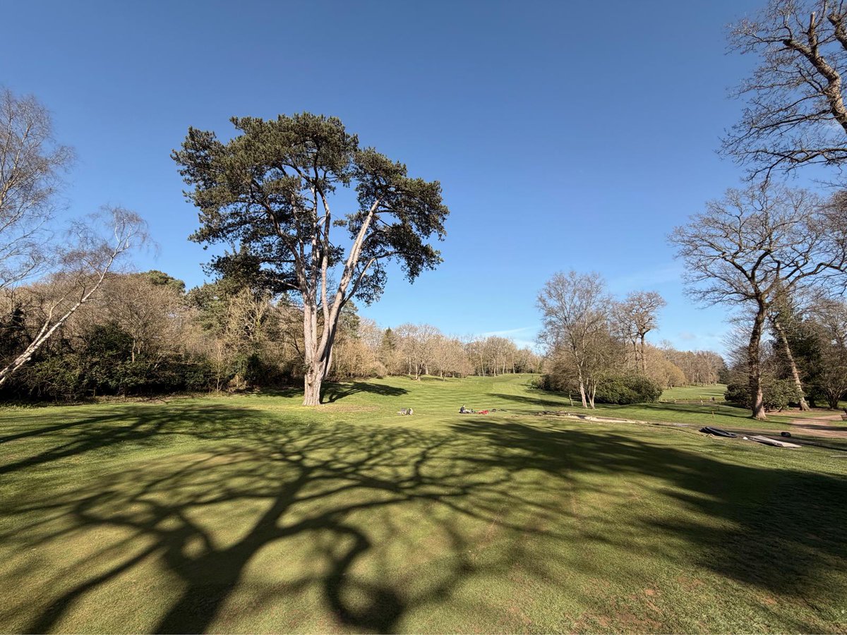 DJUKE Ltd tweet media