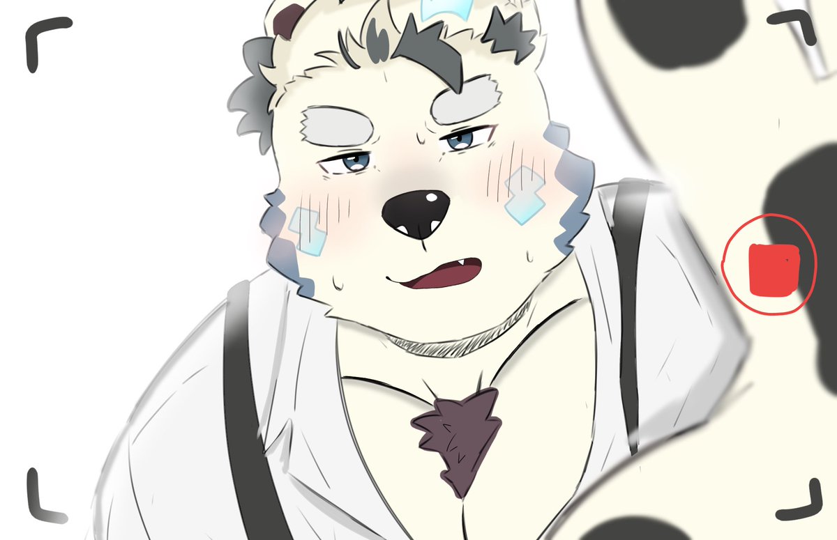 とき🐻‍❄️ tweet media