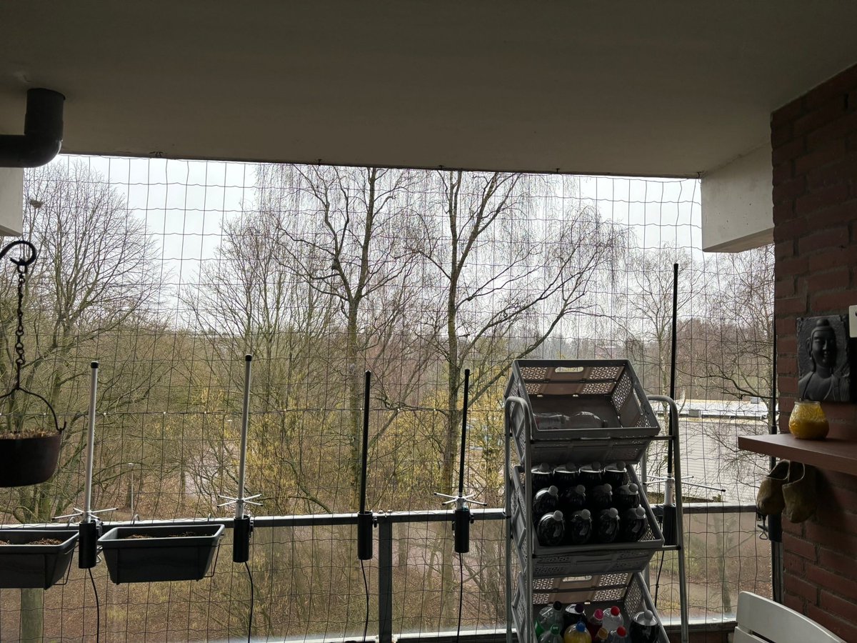 FlightAware tweet media