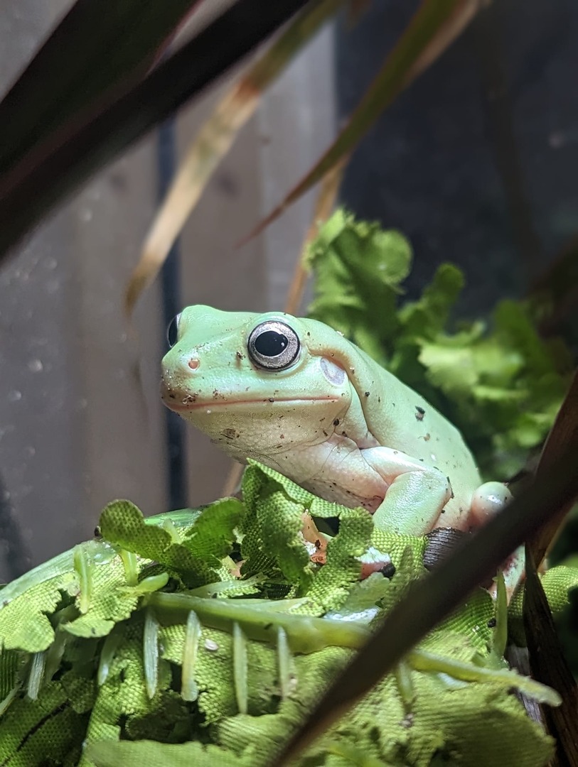 ZooLabUK tweet media