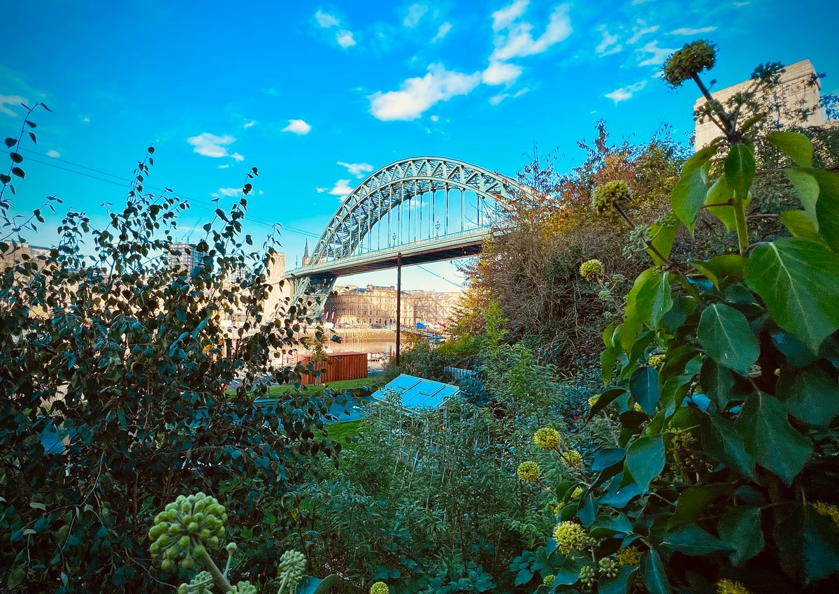 Mansons Property Consultants tweet media