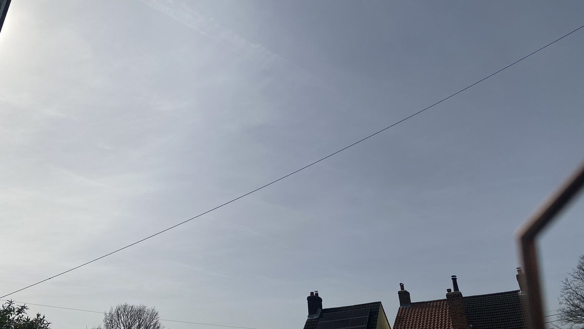 Truth Pixie tweet media