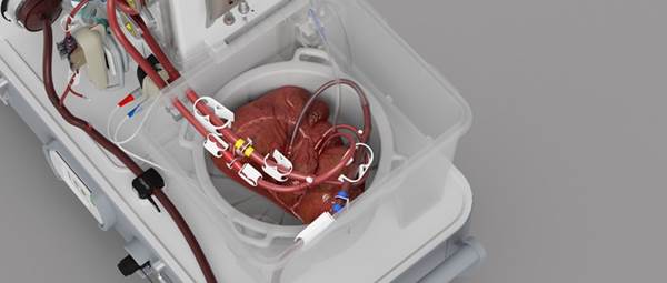 IBMS #AtTheHeartOfHealthcare tweet media