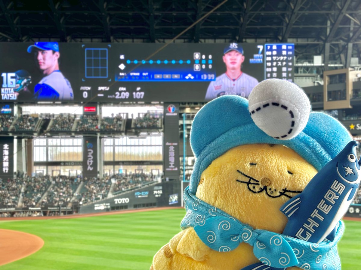 キジと仲間たち tweet media