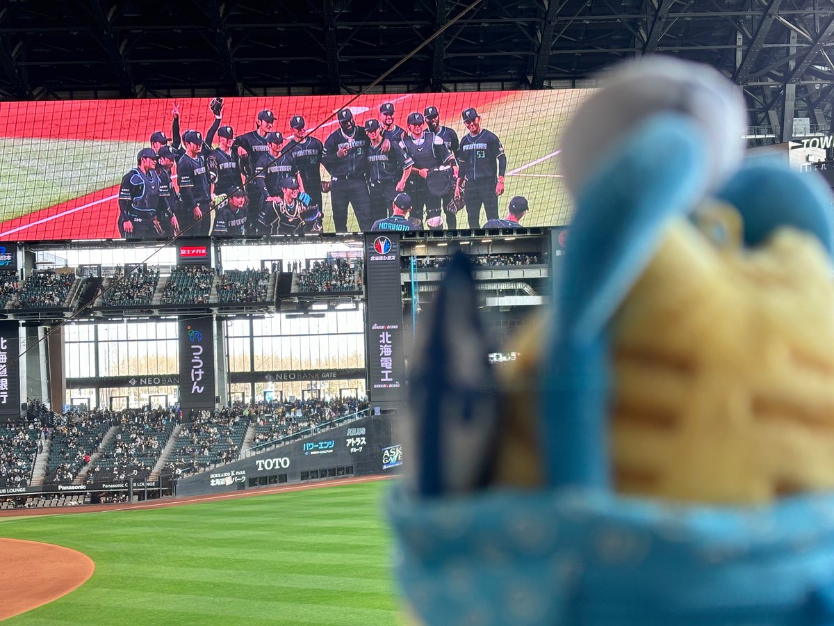 キジと仲間たち tweet media