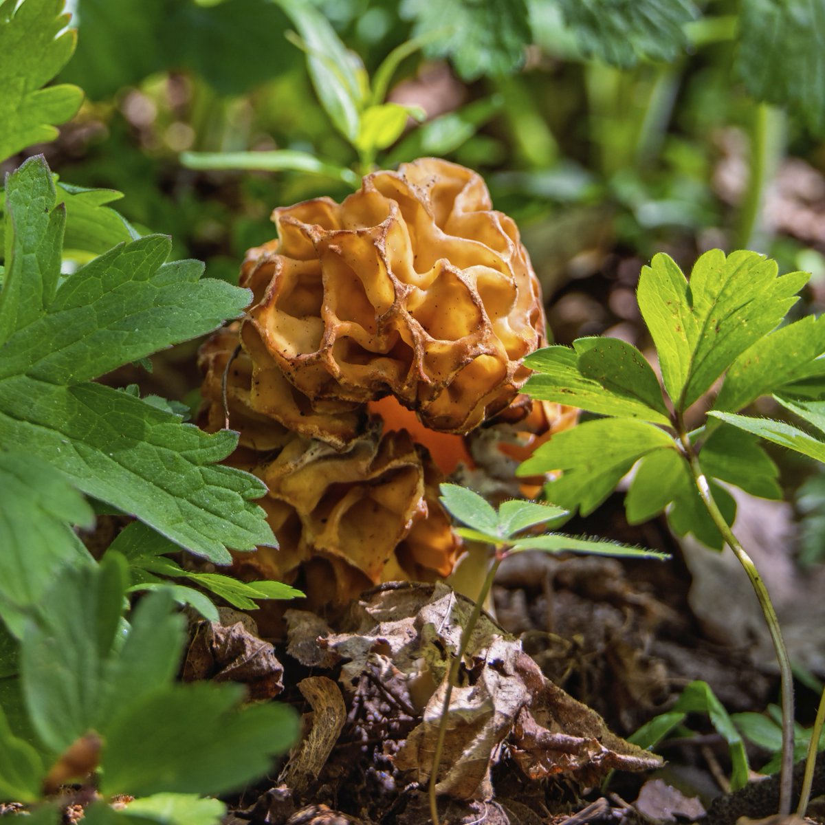 Science Channel tweet media