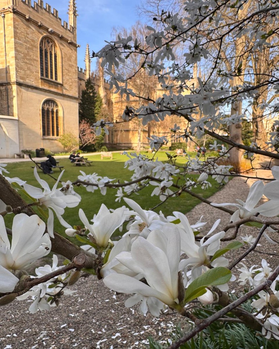 Exeter College, Oxford tweet media