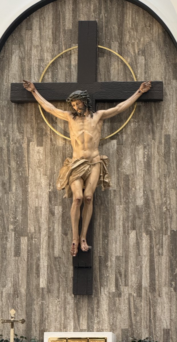 Grazie Pozo Christie, M.D. tweet media