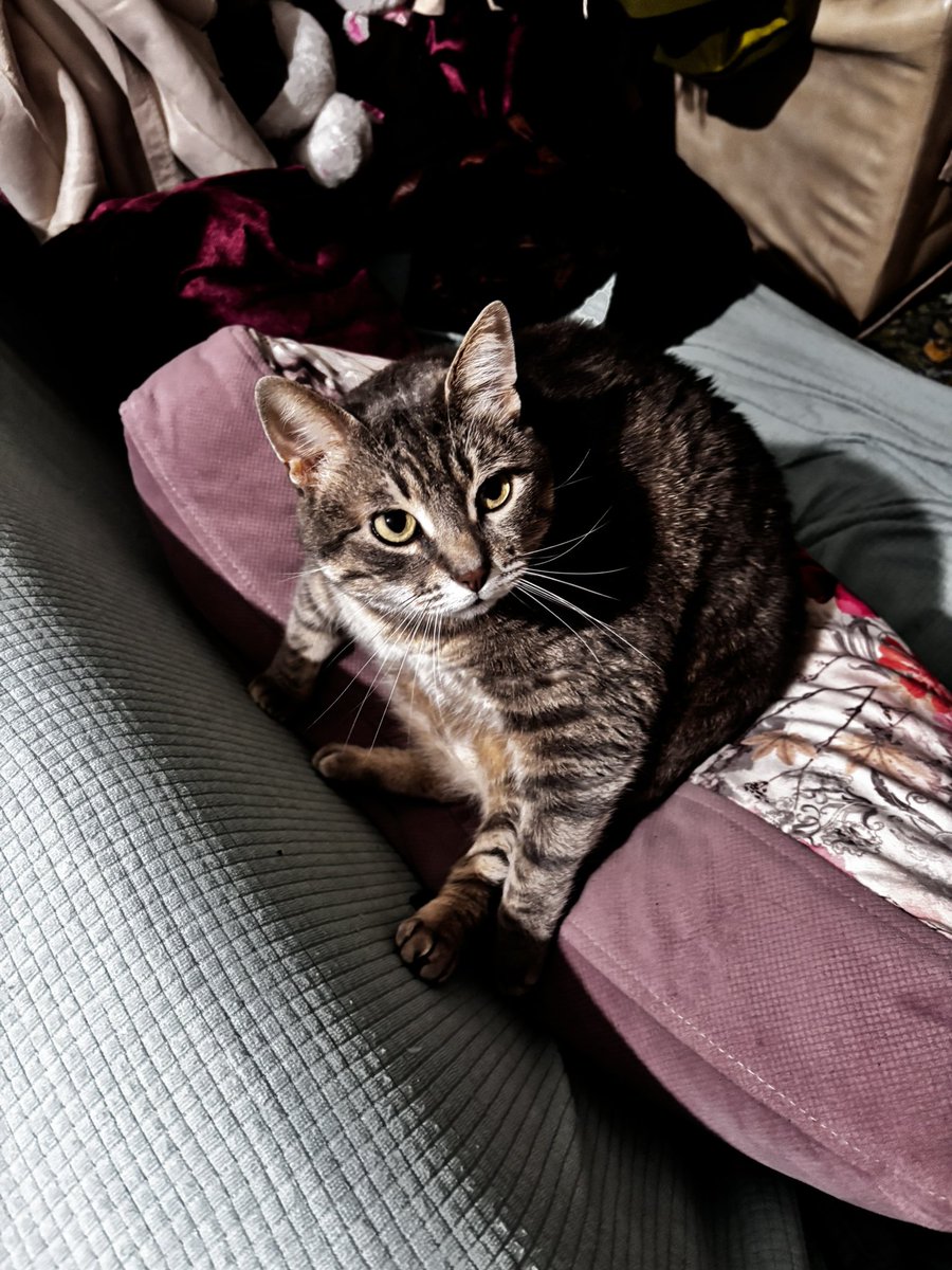 Benim kızıma göre olanı bulunur mu.. 5XL falan.