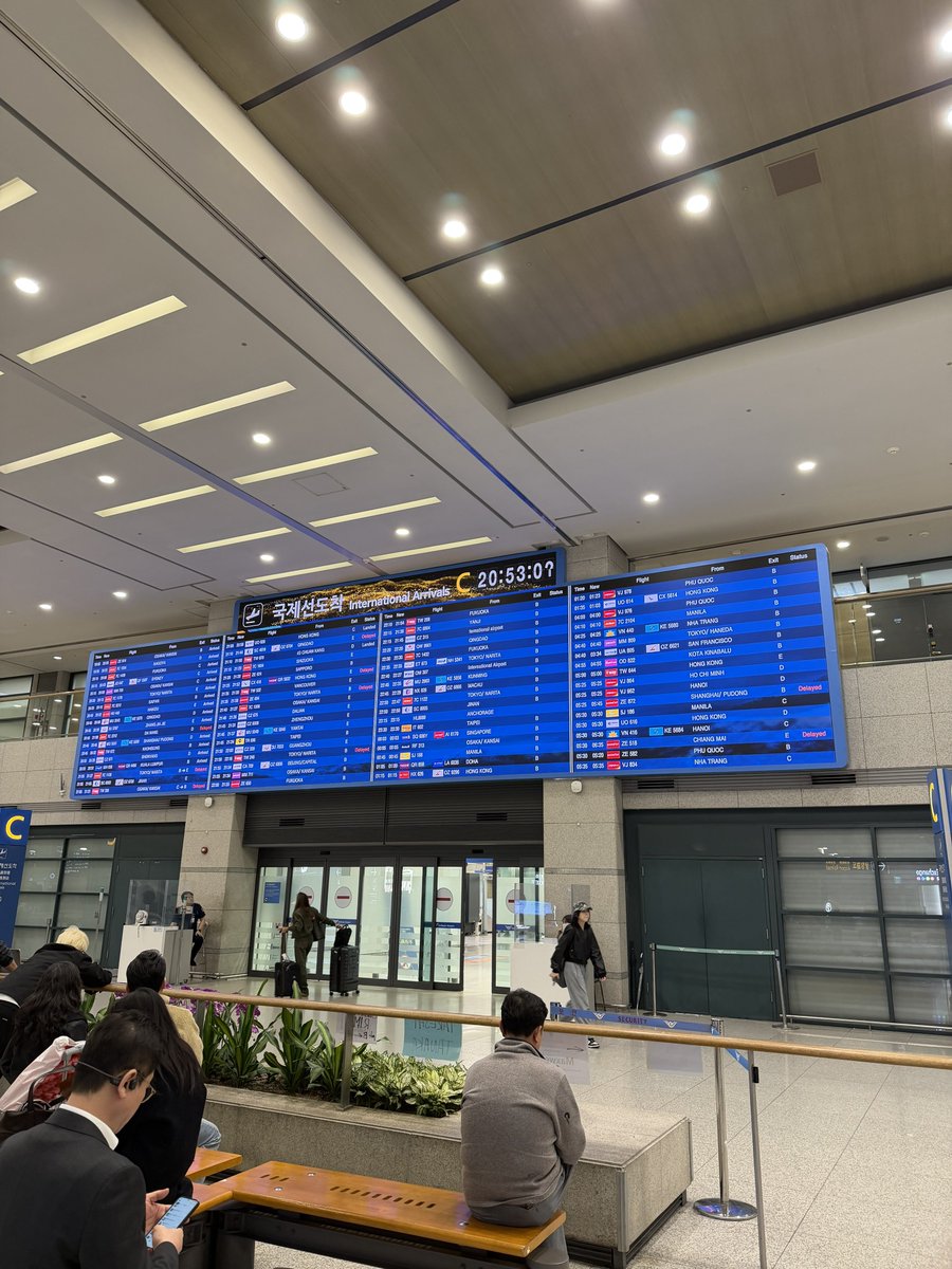 ティケラミンゴ(32) tweet media