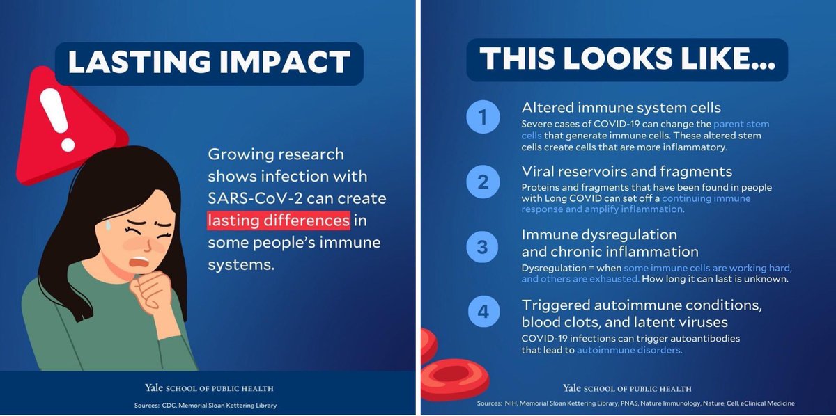 Cat in the Hat 🐈‍⬛ 🎩 🇬🇧 tweet media