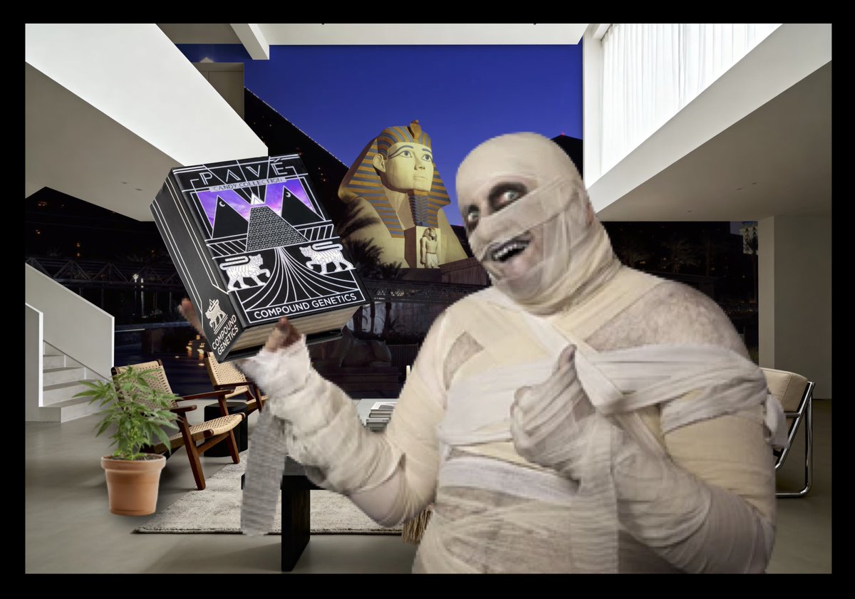 Pearl Polanski 🌻🇺🇦🇺🇸 tweet media