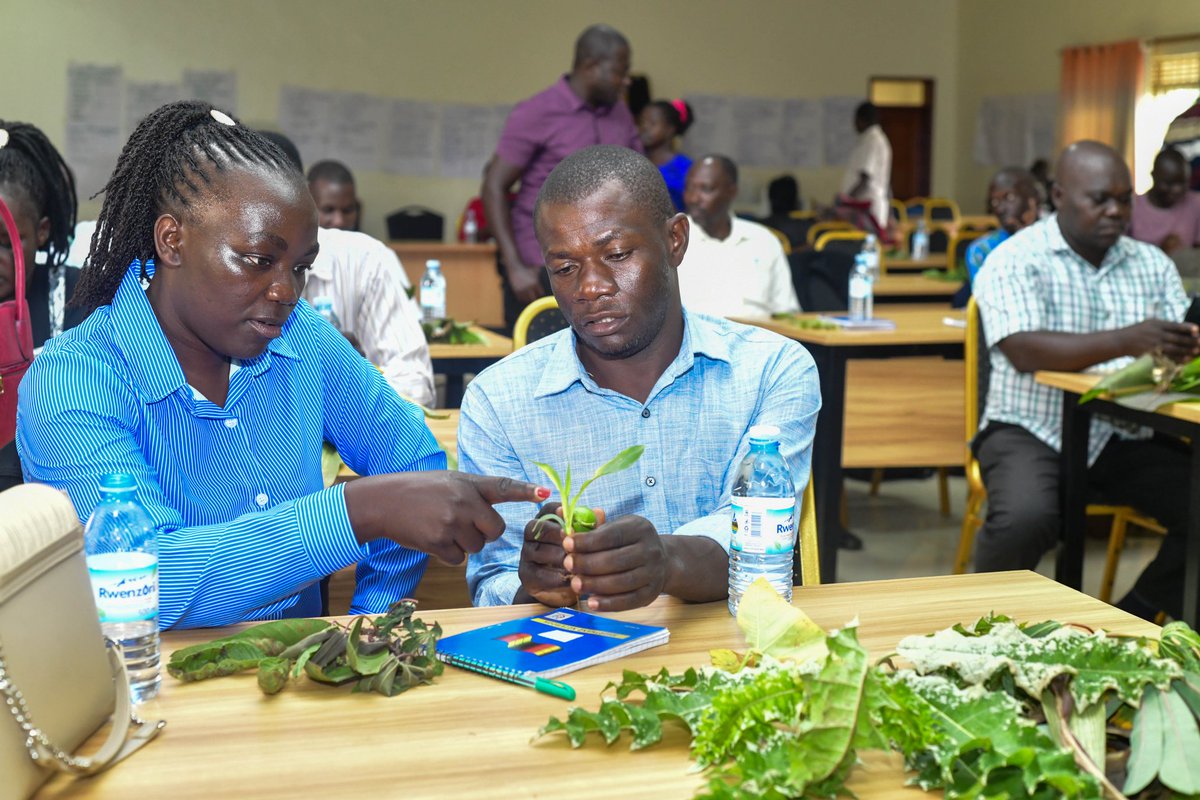 Uganda Climate Smart Agric Transformation Project tweet media