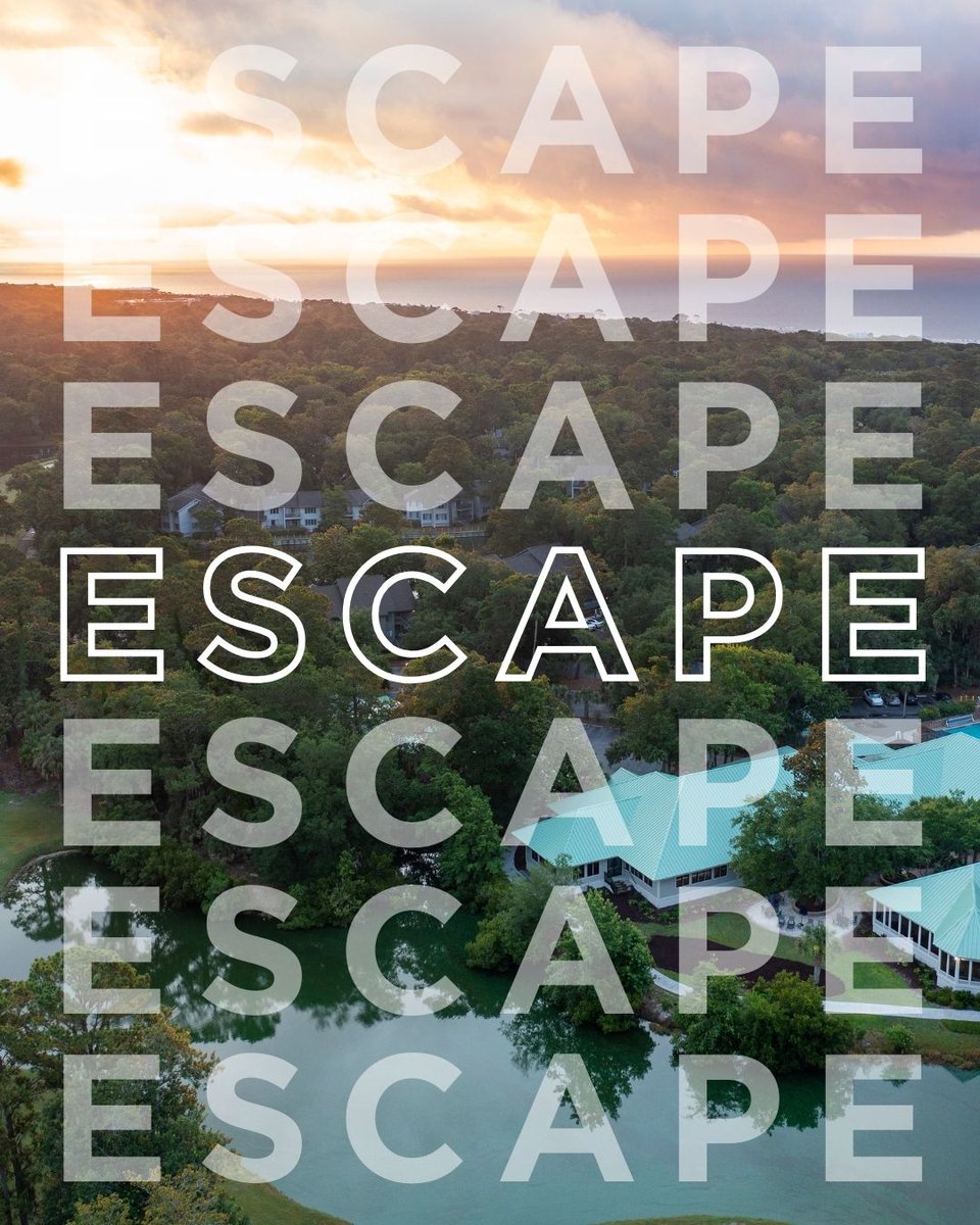 Blue Zones tweet media