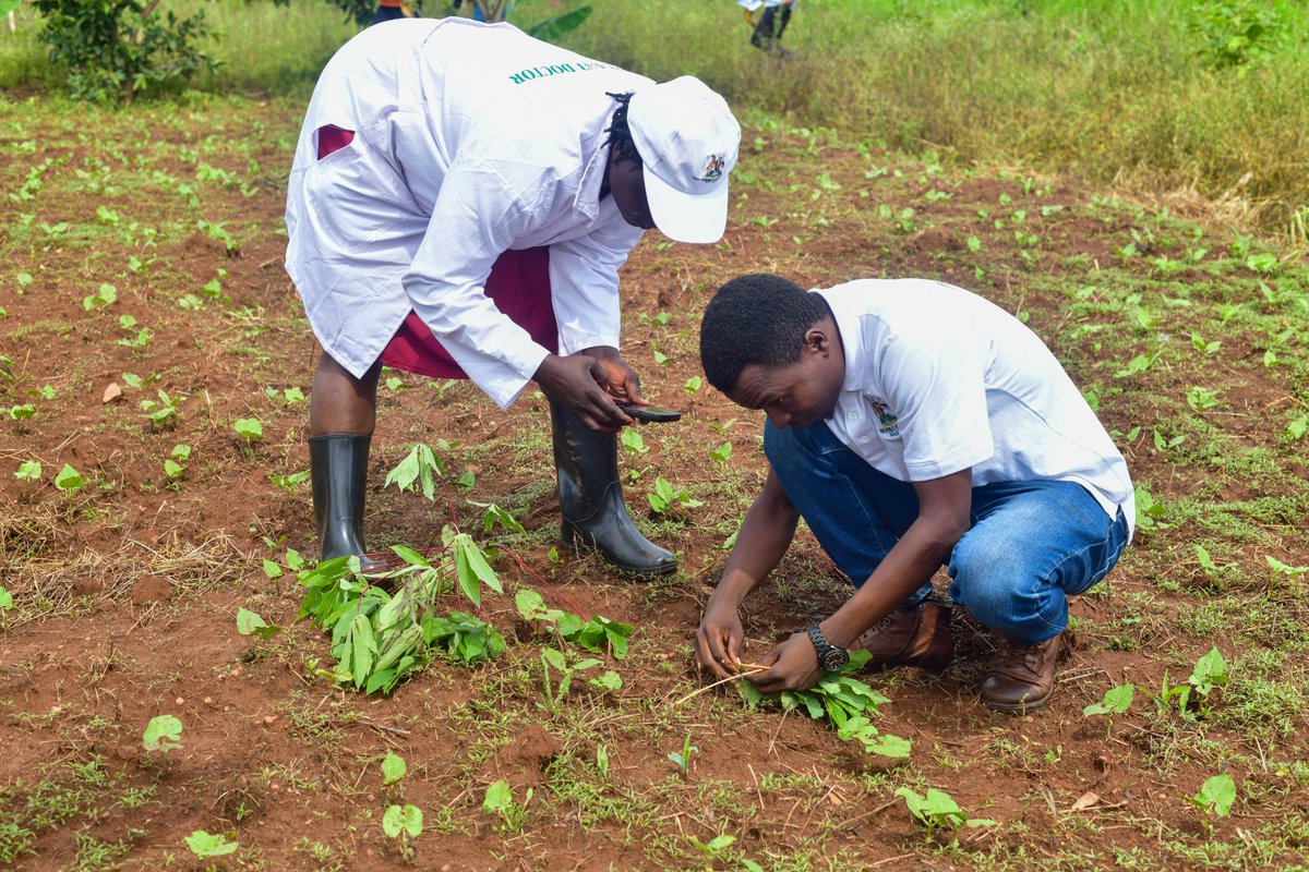 Uganda Climate Smart Agric Transformation Project tweet media