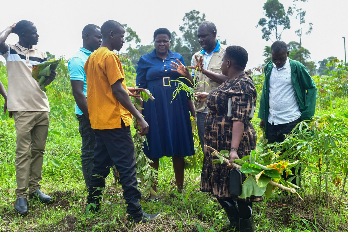 Uganda Climate Smart Agric Transformation Project tweet media