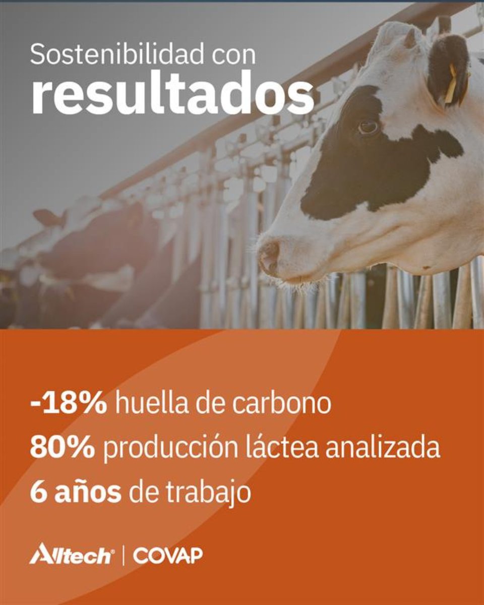 Alltech Spain tweet media