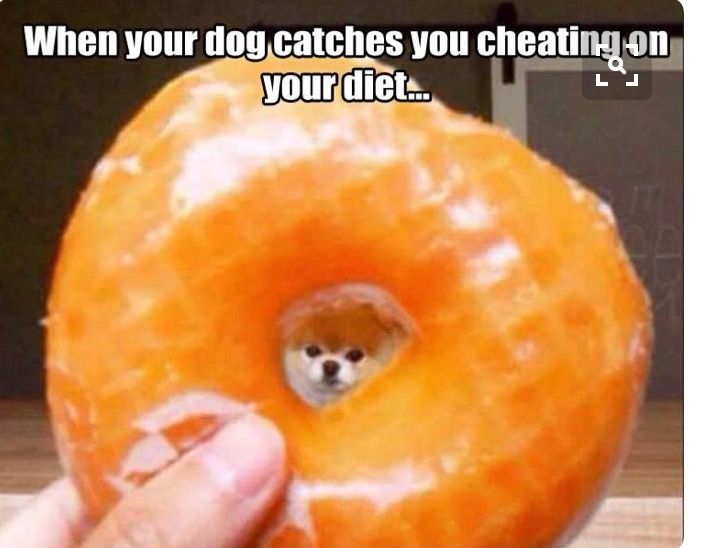 Daniel Watts tweet media