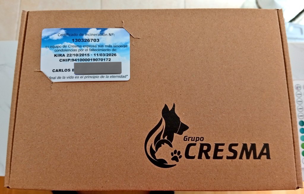 🏳️‍🌈 cArLoS  ❤ tweet media