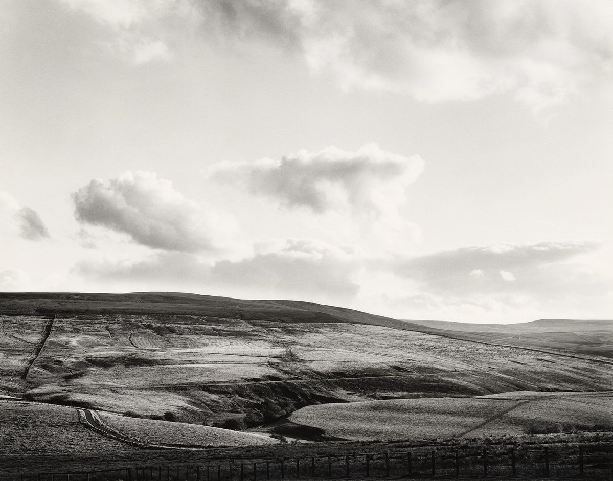 Side Gallery tweet media