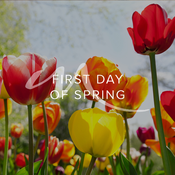 ModeraNRochelle's tweet photo. Spring has officially arrived at Modera New Rochelle. 🌷✨ What are you most excited for this season? #FirstDayOfSpring #ModeraNewRochelle #NewRochelleNY #WestchesterLiving #SpringatModera https://t.co/ya9gUDmolz