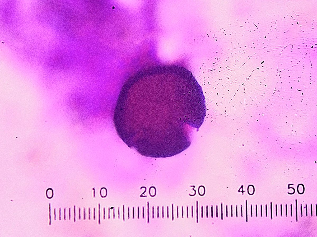 Arghya Bandyopadhyay tweet media