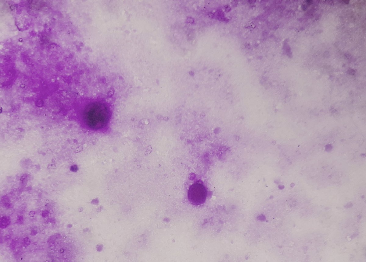 Arghya Bandyopadhyay tweet media