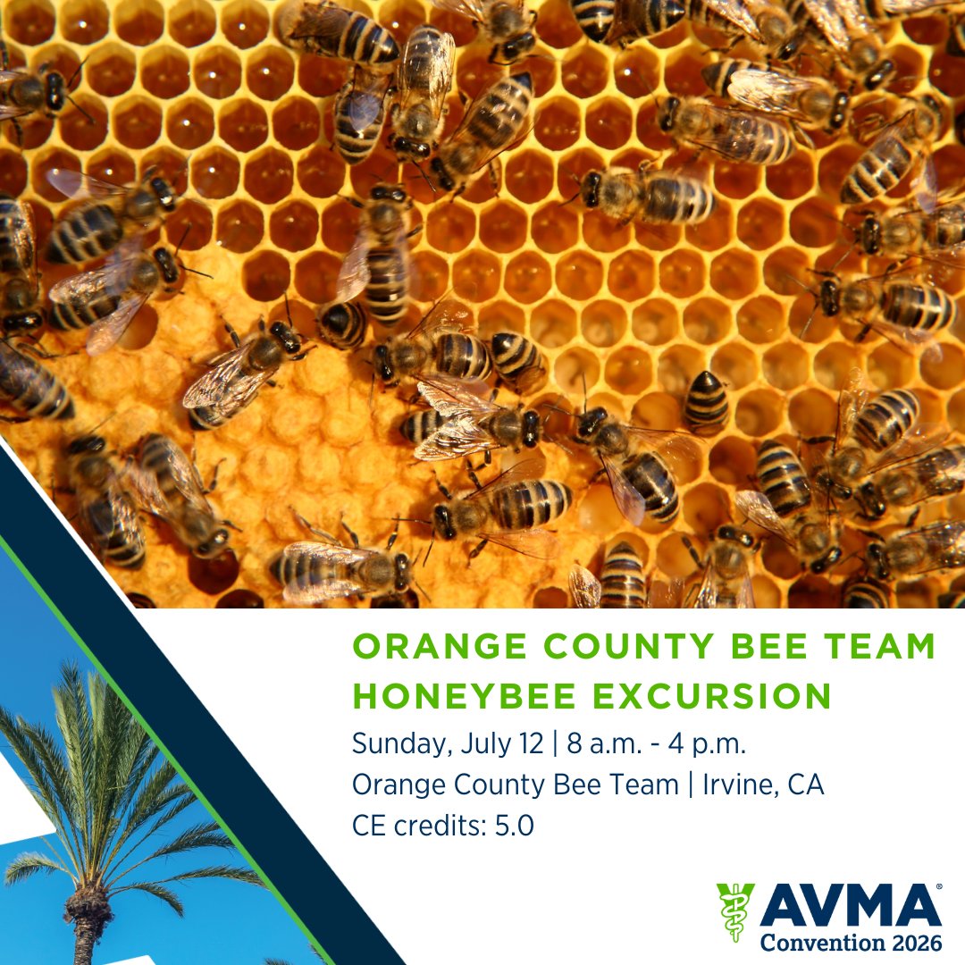 AVMA Meetings & Events tweet media