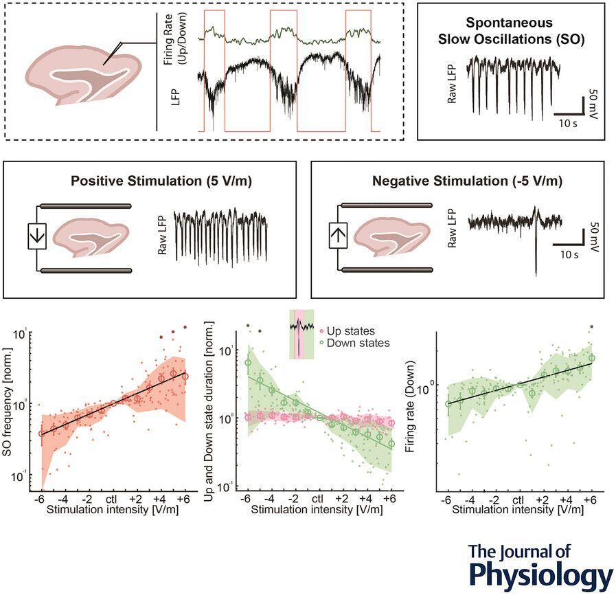 Journal of Physiology tweet media