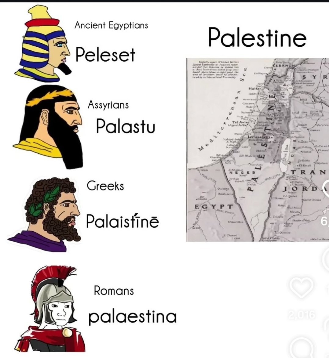 War Wombat, PhD tweet media