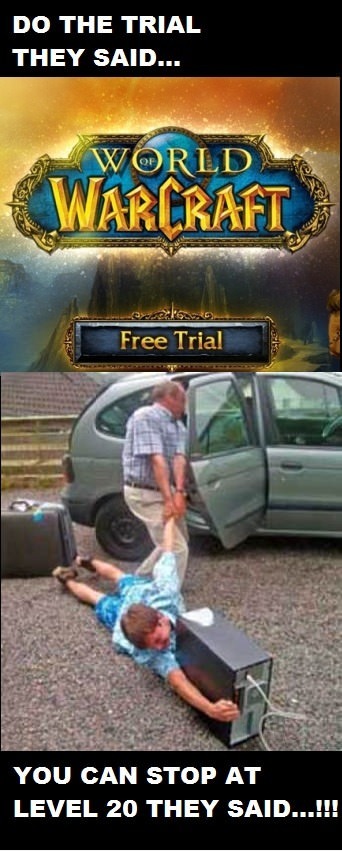 Warcraft Memes tweet media