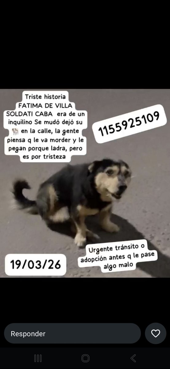 Laly 🇦🇷 tweet media