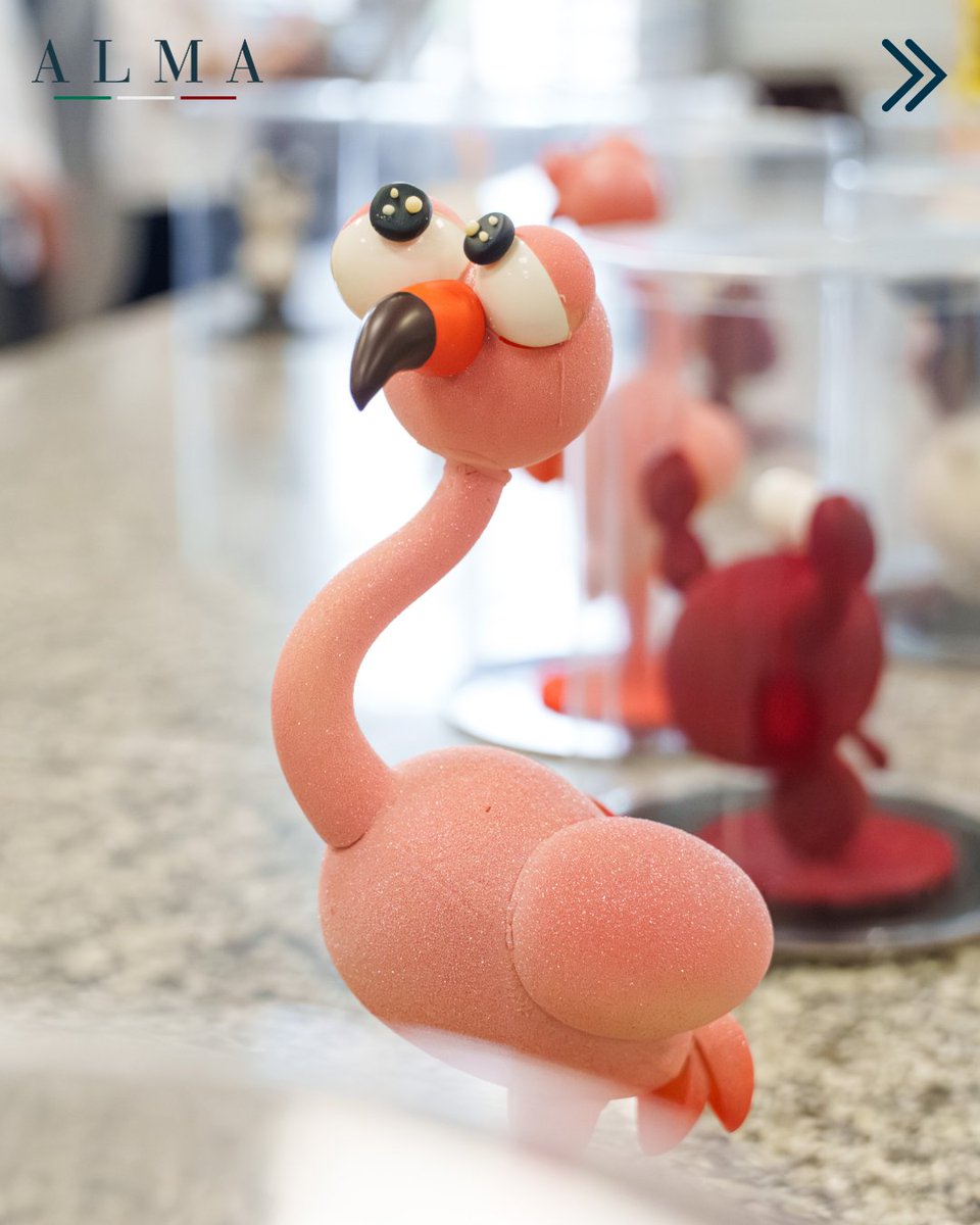 Alma Scuola Cucina tweet media