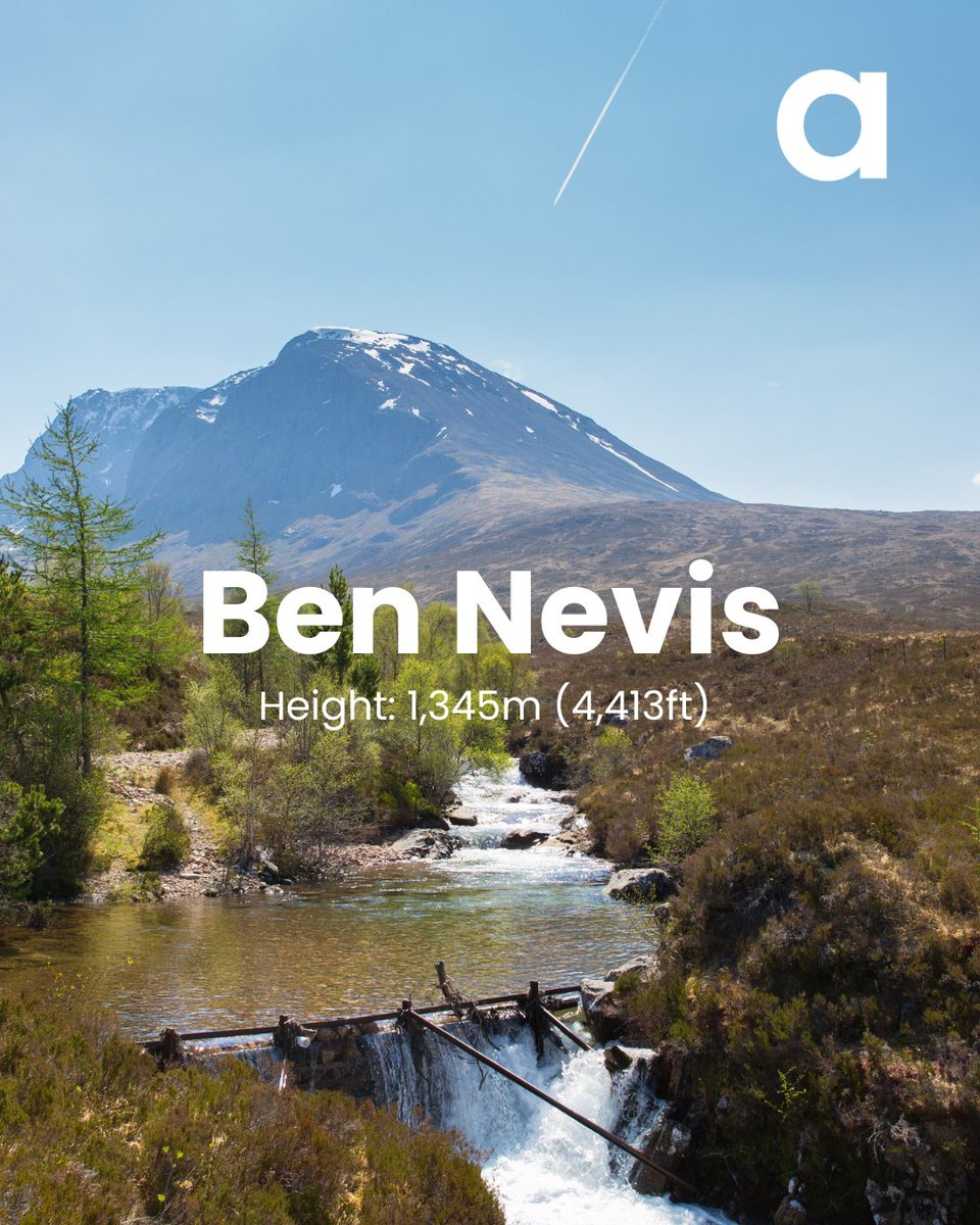 Academia Group tweet media