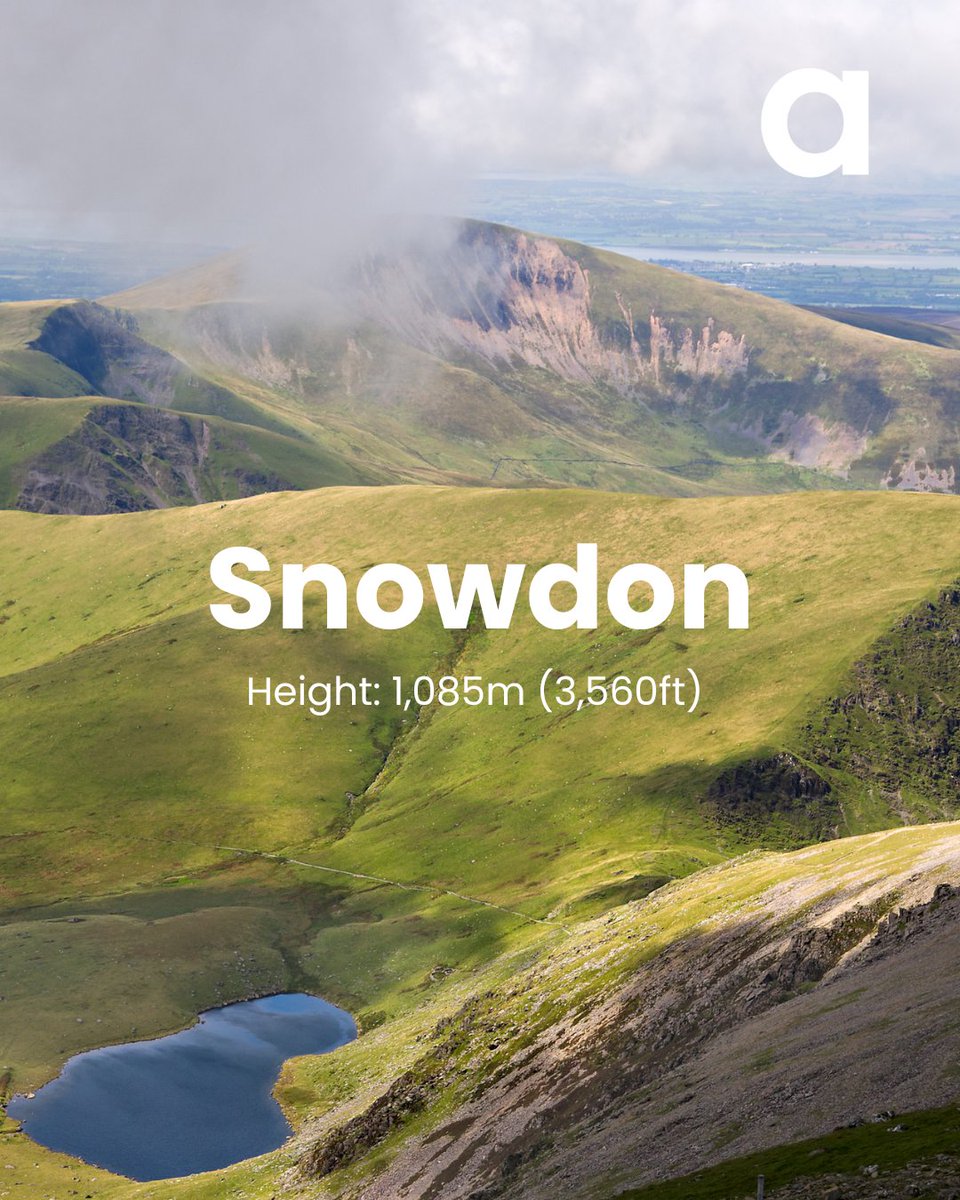 Academia Group tweet media