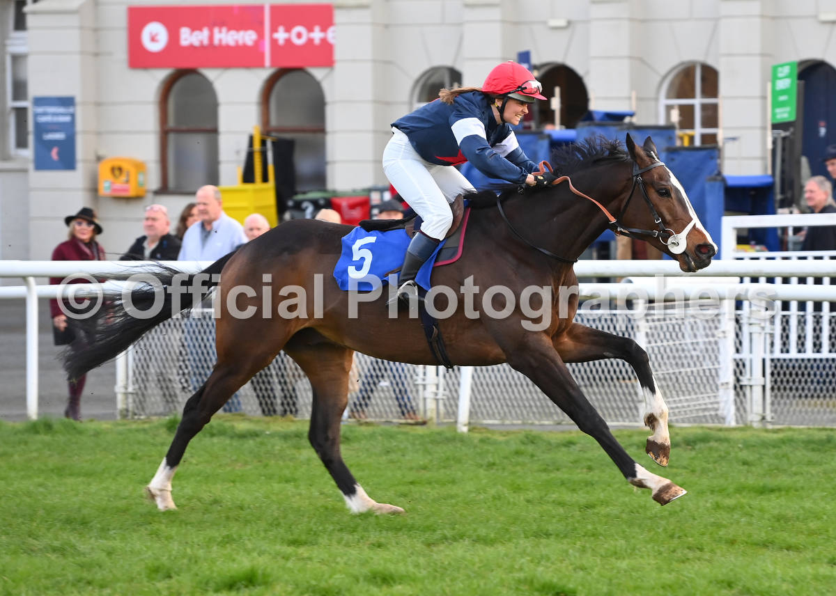 OfficialPhotographers tweet media