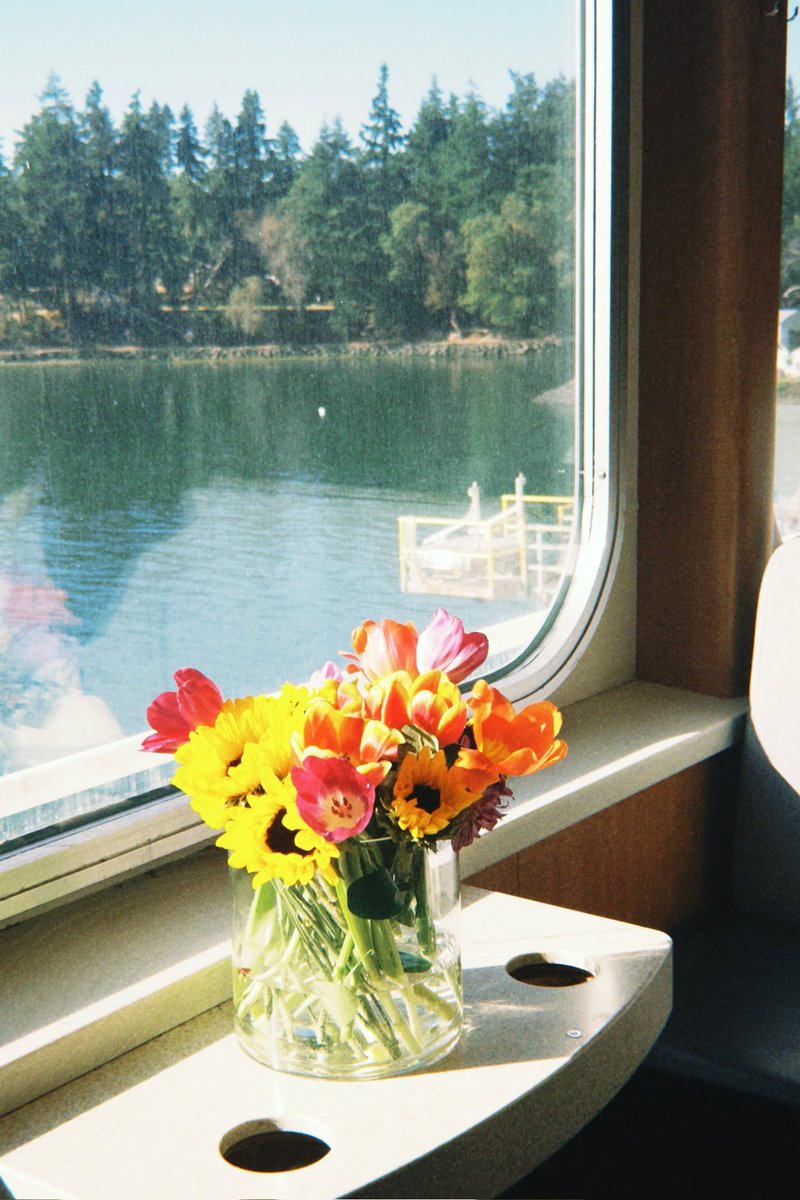 rora pics tweet media