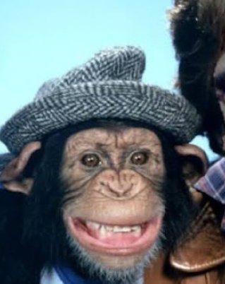 Gruntleigh the Ogron tweet media