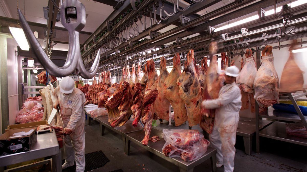 BairesParaTodos's tweet photo. La #Carne se dispara y la #Faena cae a mínimos en casi 50 años
https://t.co/016jV4x6c0
#CICCRA #Frigoríficos https://t.co/Q4nEpjUIxK