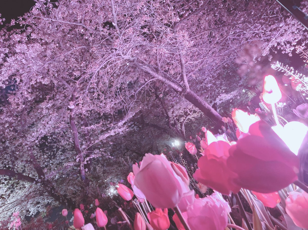 Maika【Little*Spica】 tweet media