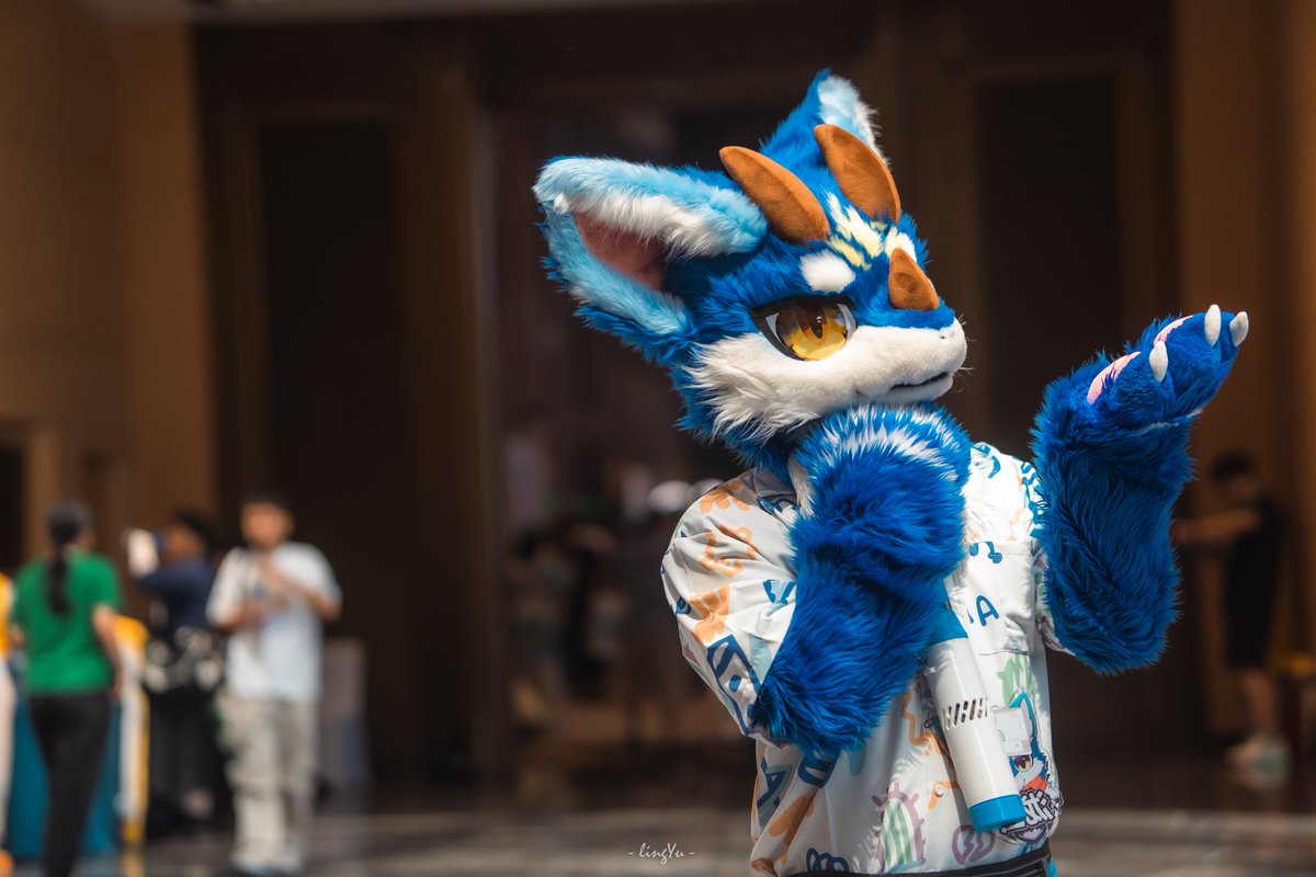 哈克 Huck tweet media