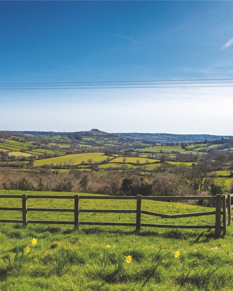 Jackson-Stops Taunton tweet media