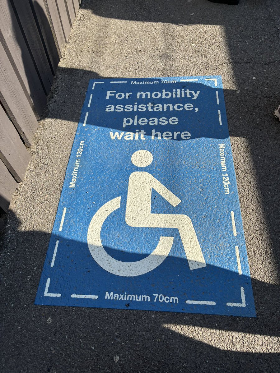 cameron wood tweet media