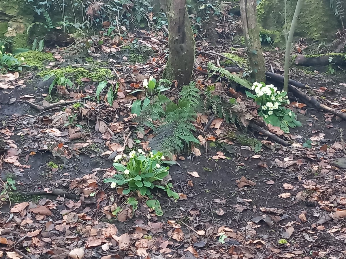 The Tourette's in my head tweet media