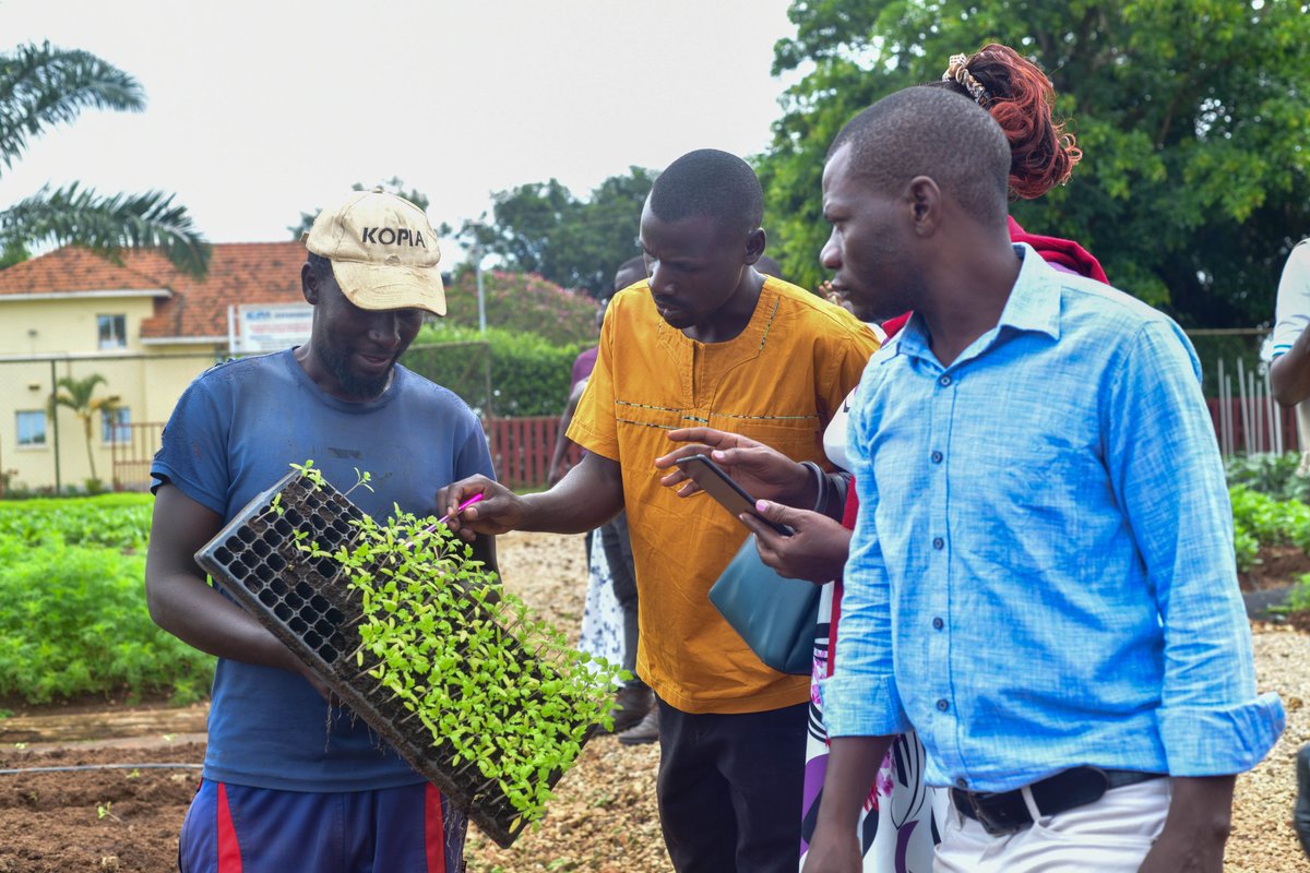 Uganda Climate Smart Agric Transformation Project tweet media